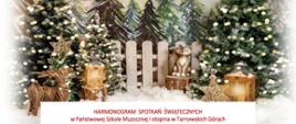 Baner przedstawia napis Harmonogram spotkań świątecznych w Państwowej Szkole Muzycznej I stopnia w Tarnowskich Górach w kolorze czerwonym (na dole baneru). W tle zimowy krajobraz przedstawiający choinki oraz ozdoby świąteczne. 
