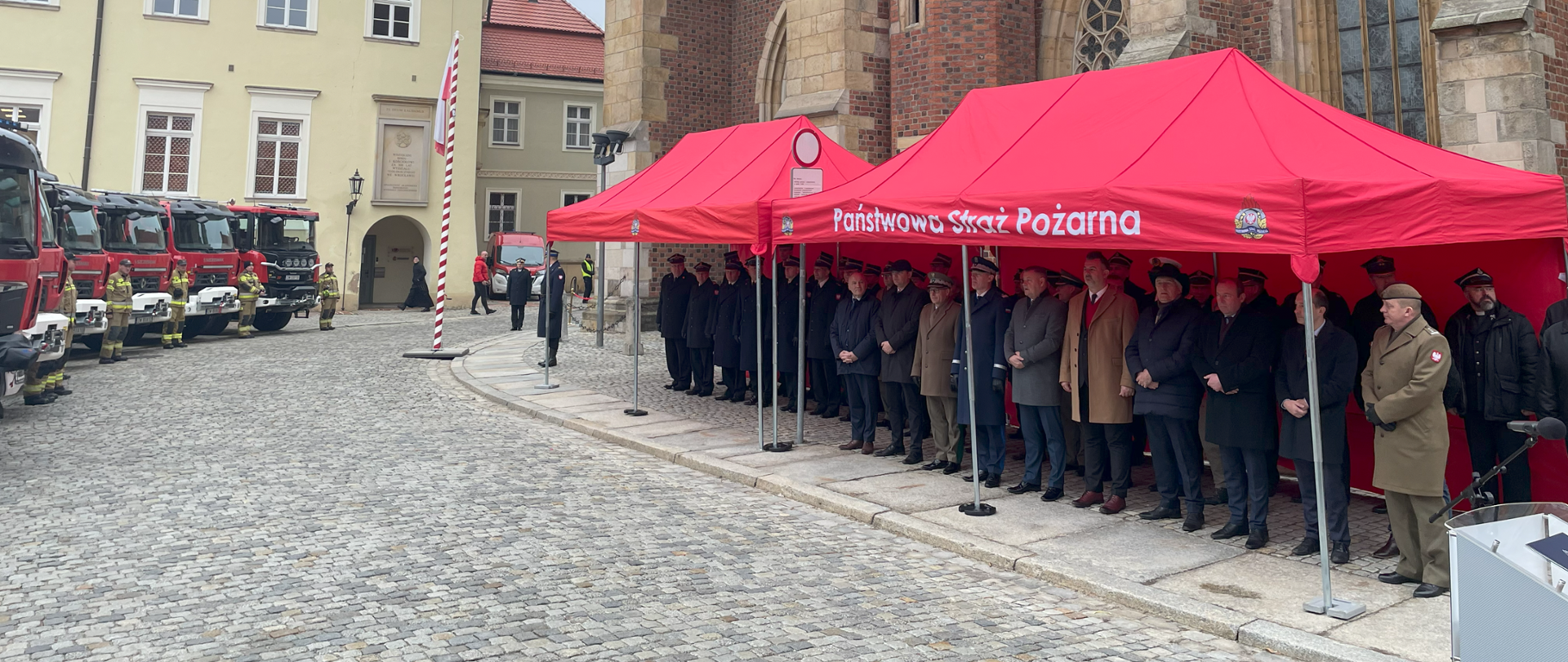 Strażacy w umundurowaniu podczas zbiórki.