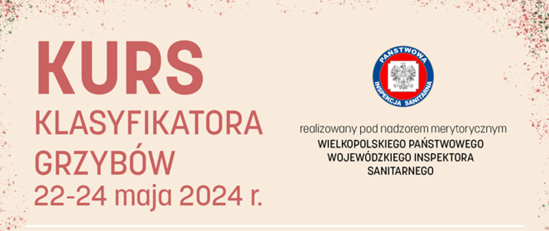 Kurs klasyfikatora grzybów