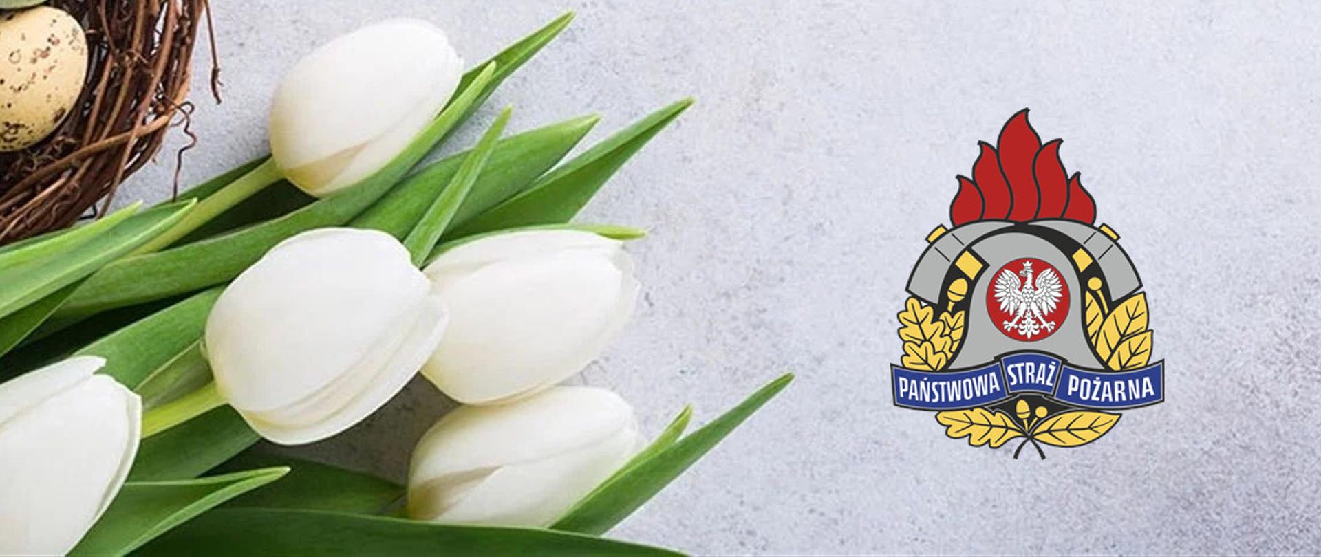 Życzenia Komendantów Powiatowych PSP w Pabianicach