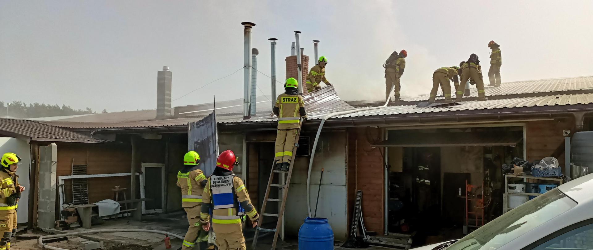 Strażacy podczas akcji ratowniczo-gaśniczej. 6 strażaków na dachu budynku, 1 na drabinie i 2 przy budynku.