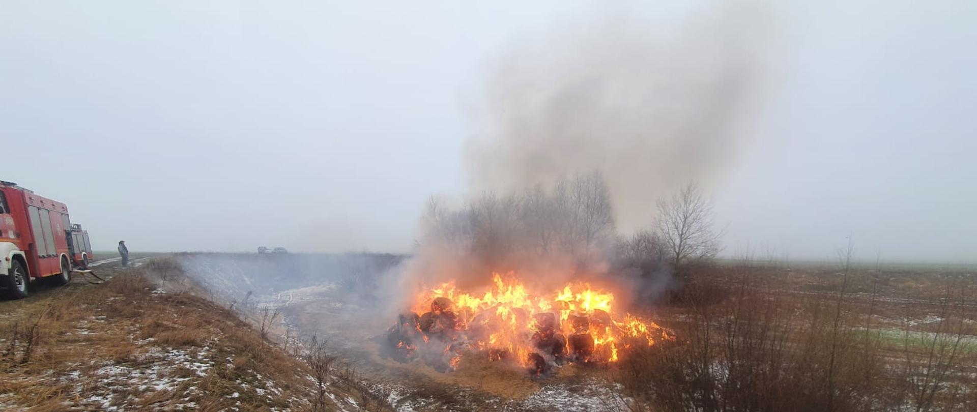 Na zdjęciu widać palącą się słomę po hodowli drobiu. Składowana jest w wyrobisku. Niebo zachmurzone. Po lewej stronie widać samochody straży pożarnej w kolorze czerwonym.