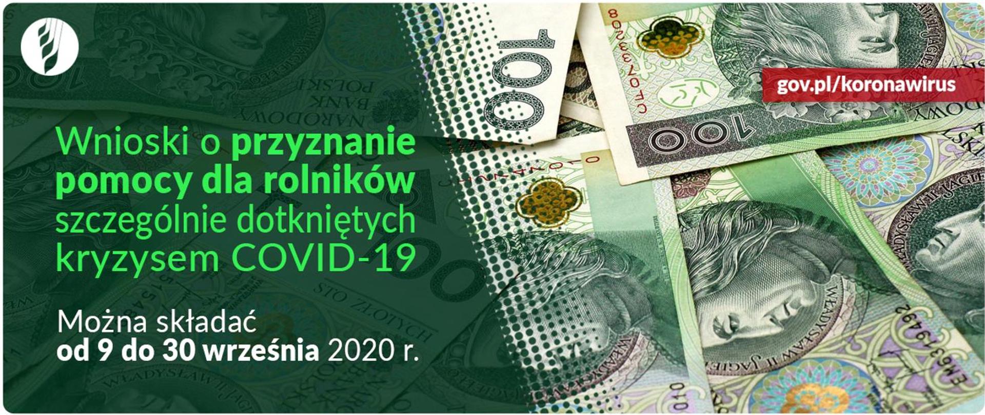Banknoty Polskie na zielonym tle