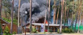 Na zdjęciu widok palącego się budynku 