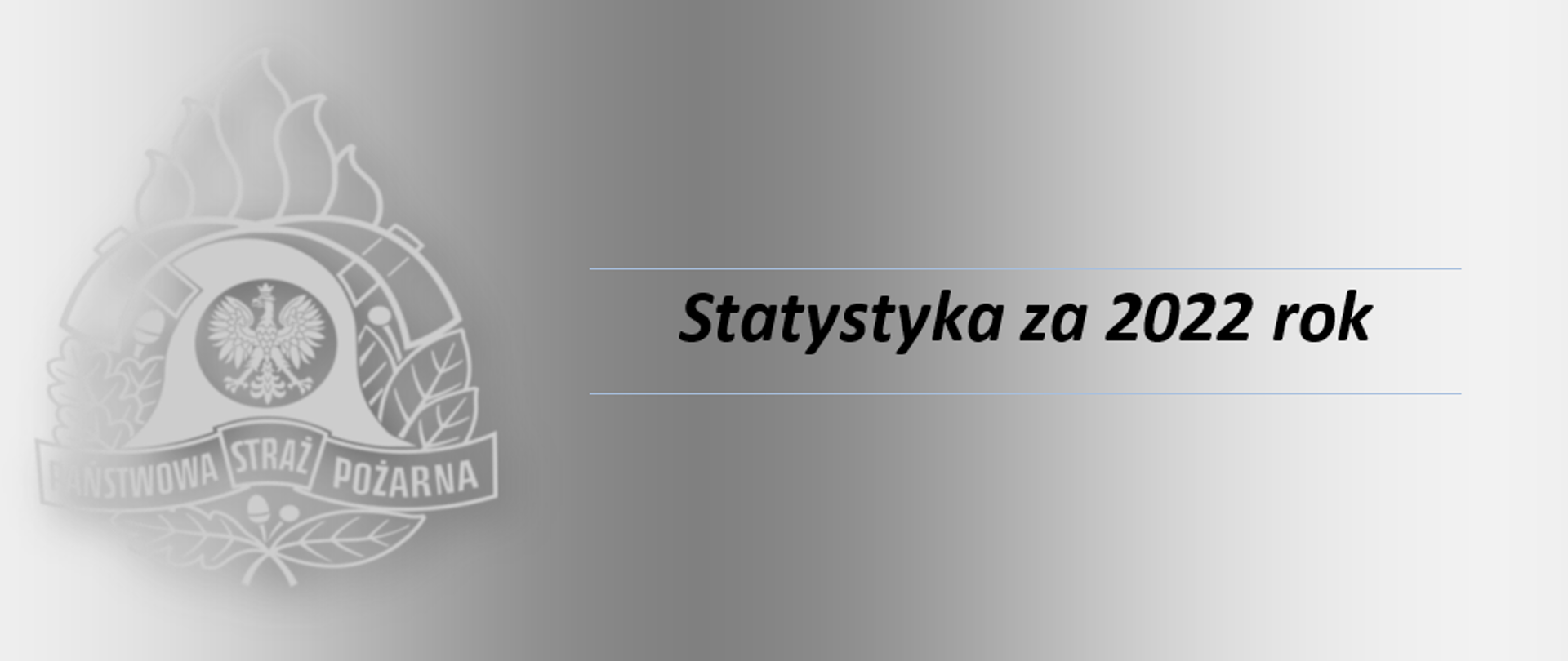Statystyka za 2022 rok