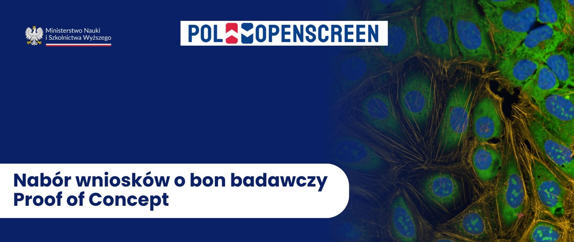 Grafika - na niebieskim tle napis Ruszył nabór wniosków o bon badawczy Proof of Concept, obok kolorowe zdjęcie komórek pod mikroskopem.