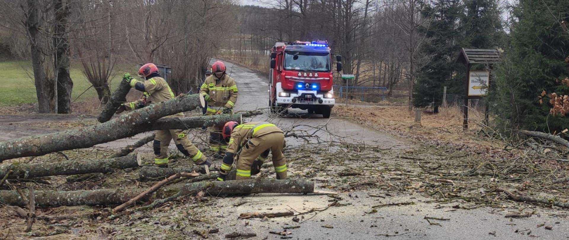 Powalone drzewo na drodze