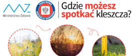 Gdzie_możesz_spotkać_kleszcza