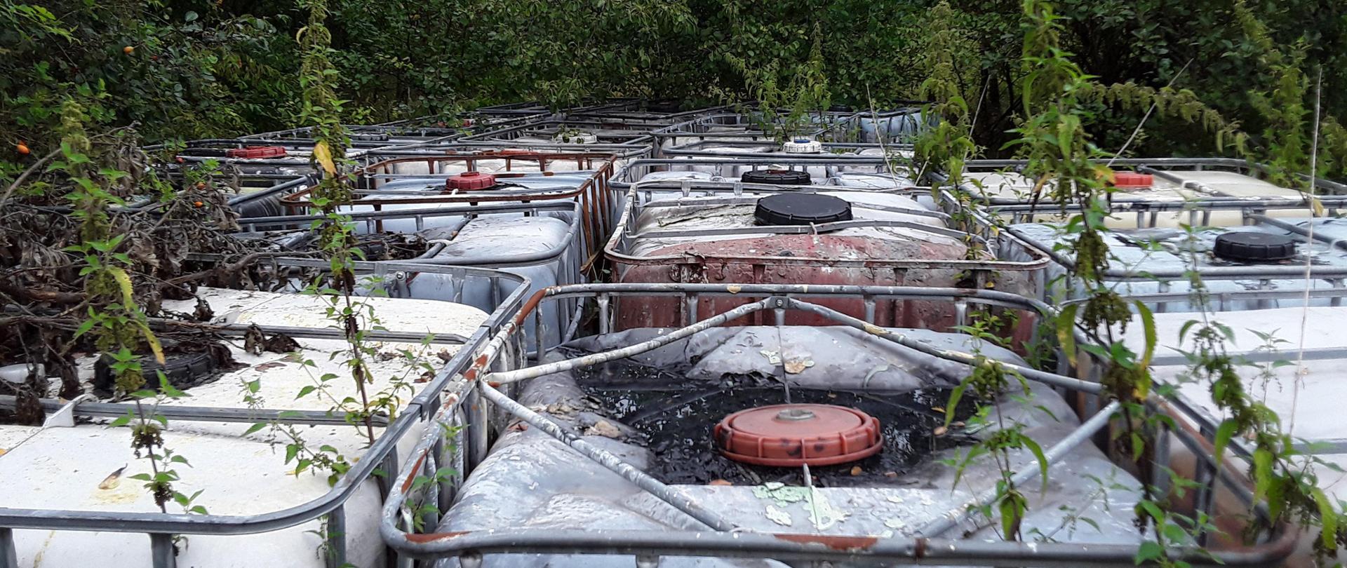 Kilkanaście plastikowych pojemników typu mauzer o pojemności 1000 l każdy stoi obok siebie na nieutwardzonym podłożu. Wokół znajduje się bujna roślinność.