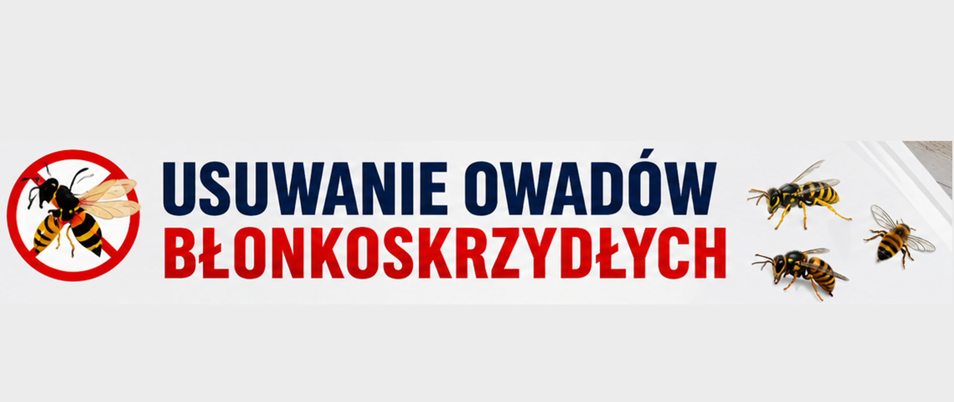 Usuwanie owadów błonkoskrzydłych.
