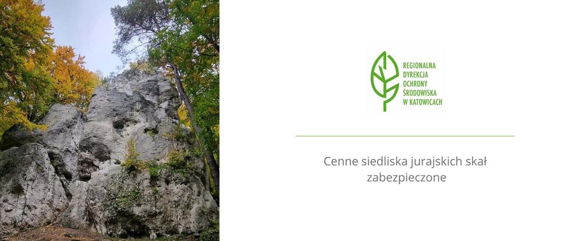 Na grafice przedstawiono wysokie, jasne skały wyrastające pośród gęstego lasu. Formacje skalne mają nieregularne kształty, liczne zagłębienia i spękania, a u ich podstawy widoczne są krzewy oraz roślinność porastająca fragmenty skał. Otoczenie tworzą drzewa o zielonych i żółto-pomarańczowych liściach. Po prawej stronie umieszczono logo Regionalnej Dyrekcji Ochrony Środowiska w Katowicach oraz napis: „Cenne siedliska jurajskich skał zabezpieczone”. Całość ma formę planszy informacyjnej poświęconego ochronie przyrody i cennych siedlisk związanych z jurajskimi formacjami skalnymi.