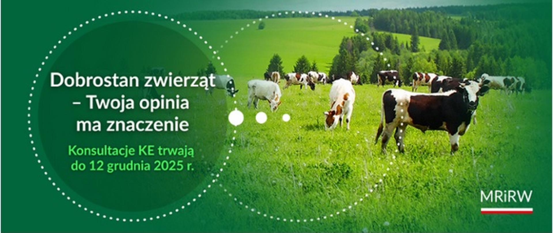 dobrostan zwierząt - konsultacje KE 2025