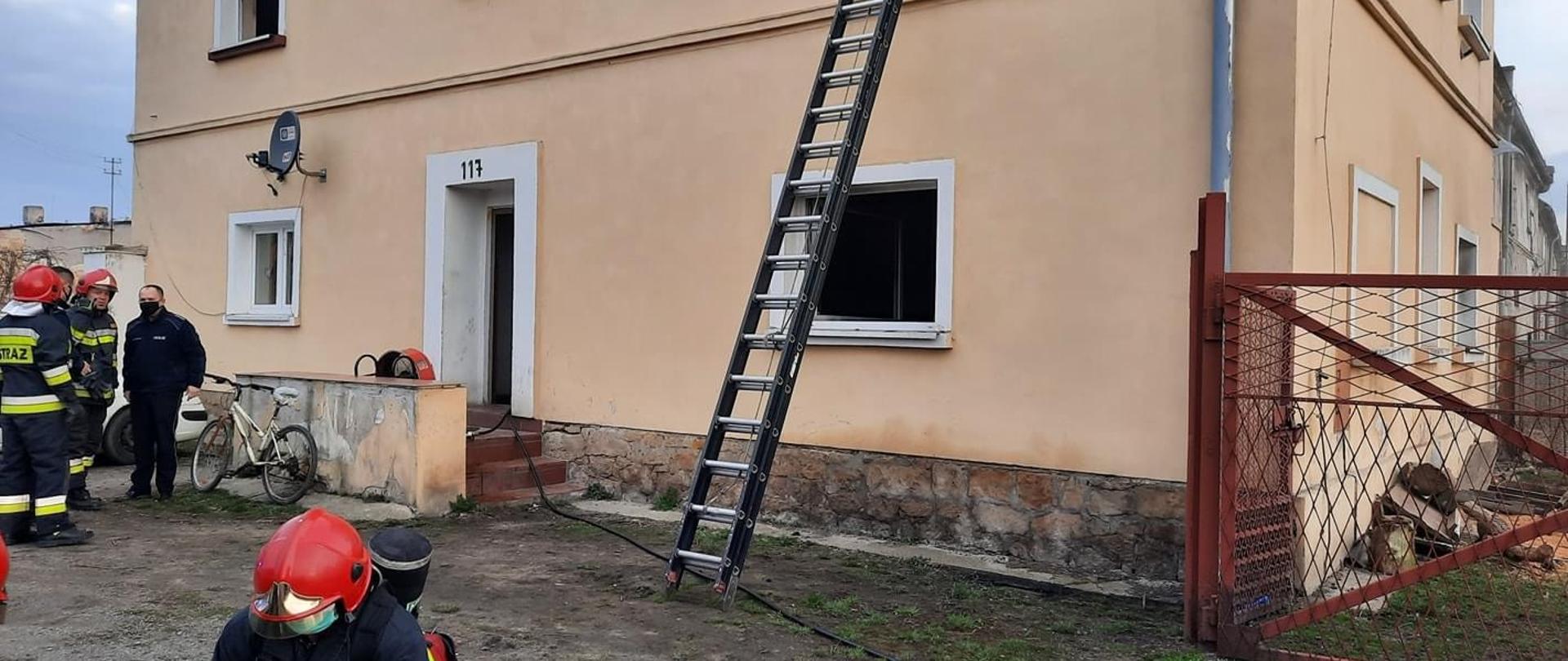 widok stojących umundurowanych strażaków przed budynkiem mieszkalnym, widoczna drabina przystawiona do jednego z okien