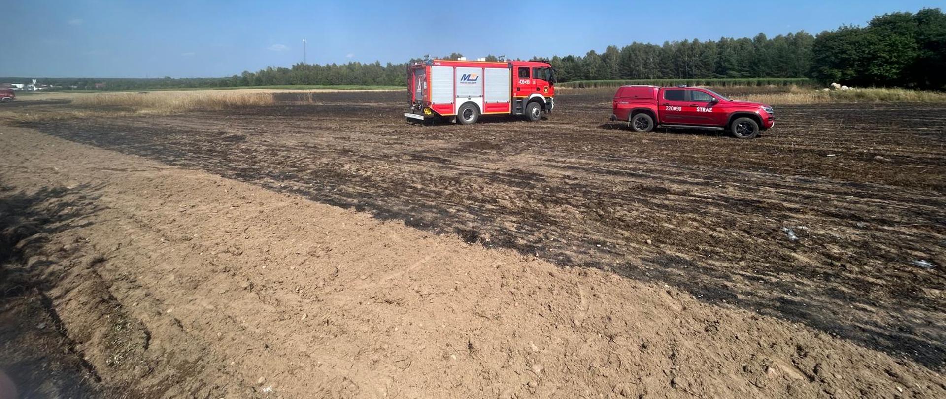 Czerwony wóz strażacki oraz strażacki pickup stojący na pogrzebanym, spalonym ściernisku w słoneczny dzień.