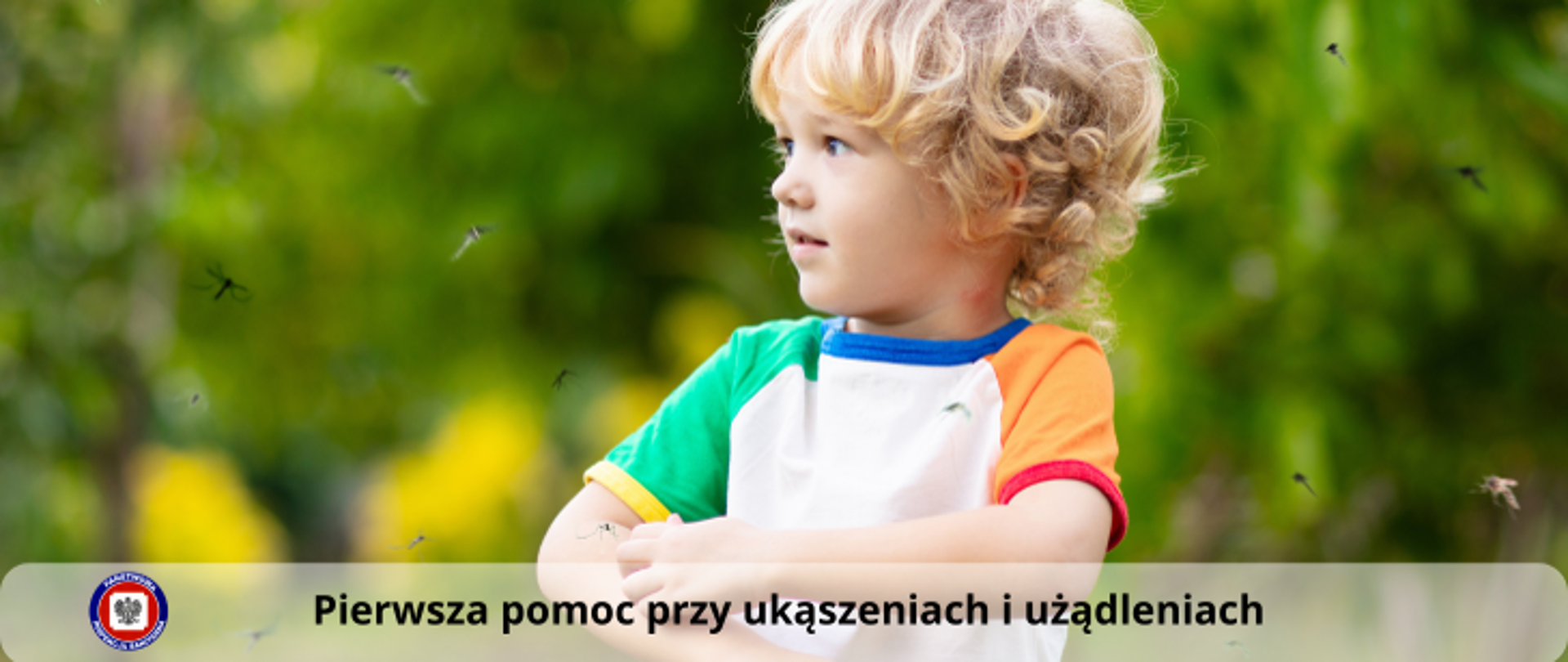 Pierwsza pomoc przy ukąszeniach i użądleniach