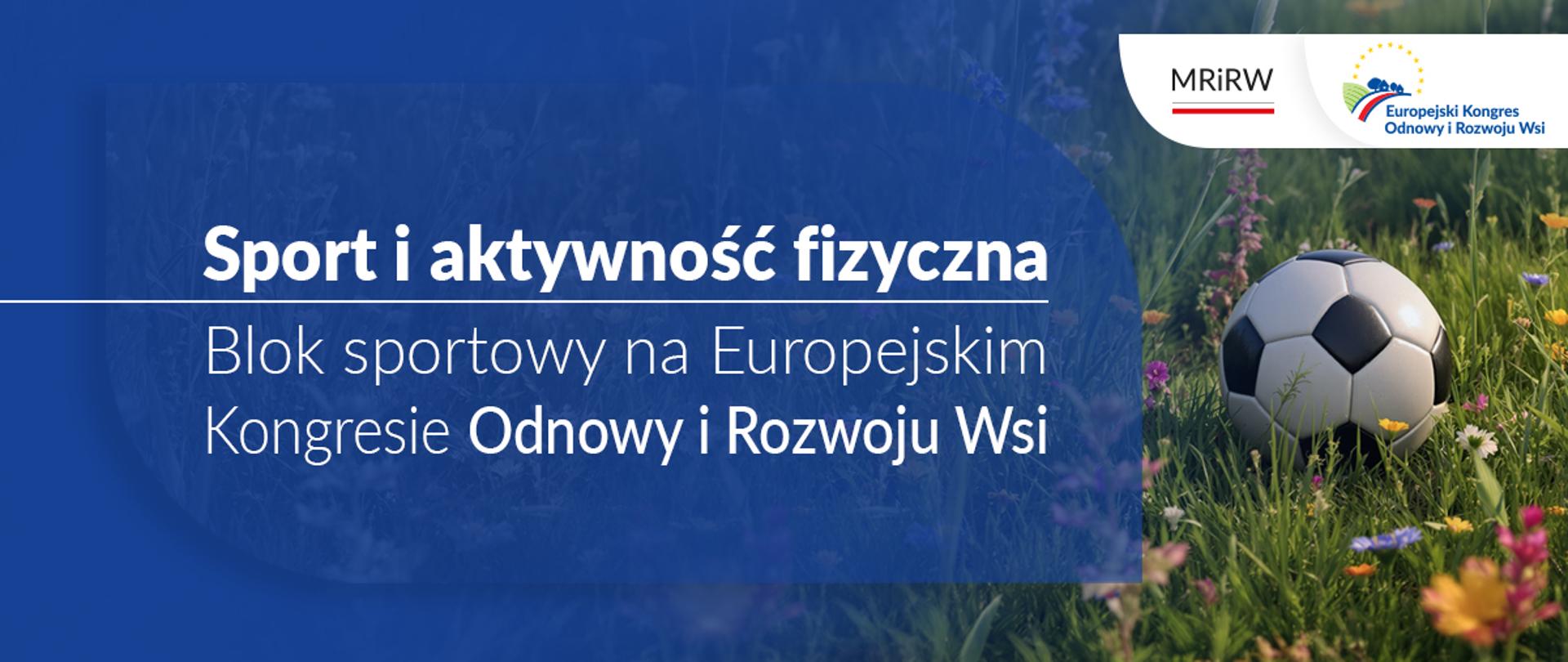 piłka nożna leżąca na łące