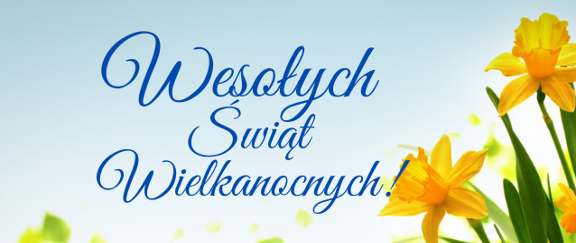 W prawej części kartki rozkwitnięte żółte kwiaty. Na środku życzenia Wesołych Świąt Wielkanocnych.