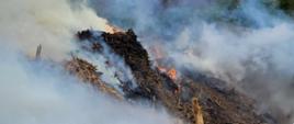 Zdjęcie przedstawia pożar składowiska biomasy. Widać płomienie oraz gęsty dym wydobywający się nad stertą biomasy.