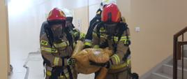 Strażacy wewnątrz budynku wynoszą poszkodowanego