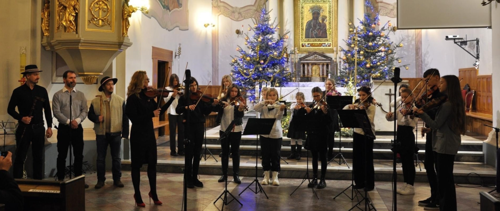 kolorowe zdjęcie - foto. D. Wróbel