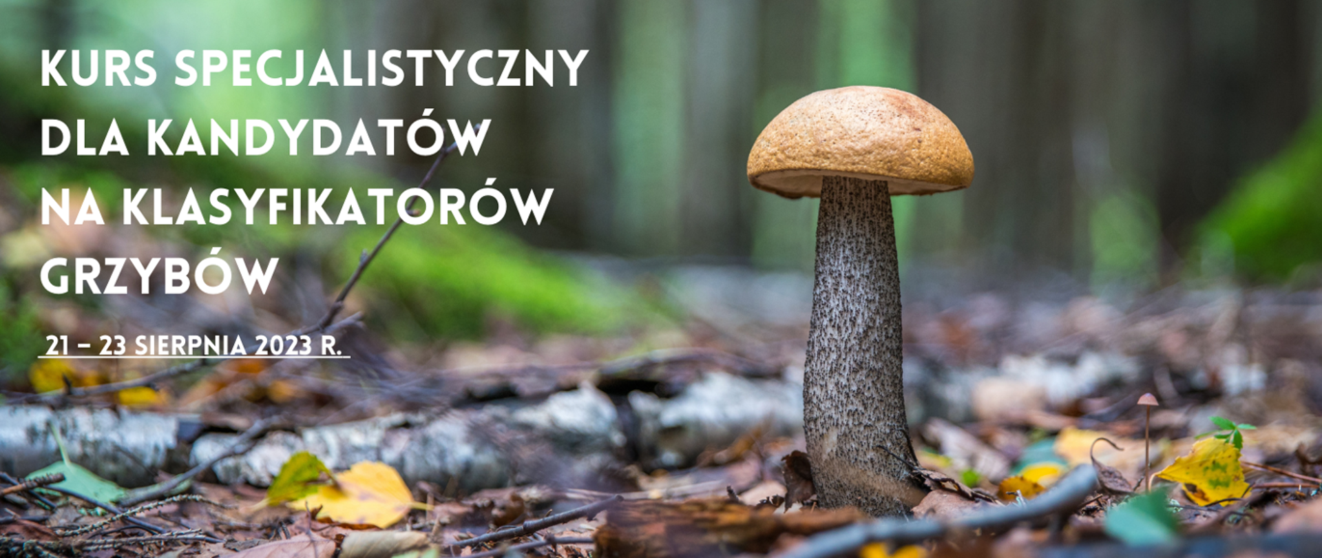 Kurs specjalistyczny dla kandydatów na klasyfikatorów grzybów