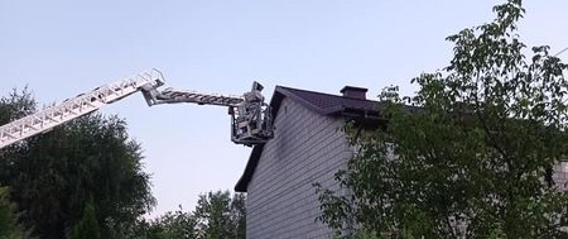 Usuwanie gniazda szerszeni