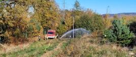 Zdjęcie przedstawia strażaków podczas ćwiczeń. Strażacy gaszący pożar przy pomocy linii wężowej. 