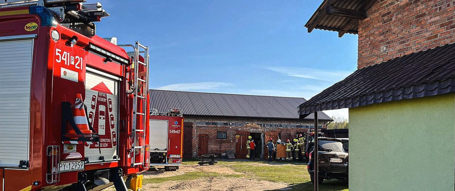 Samochody pożarnicze stoją na posesji. Na drugim planie widać strażaków i budynek gospodarczy, w którym koń wpadł tylnymi nogami do podpiwniczenia obiektu.