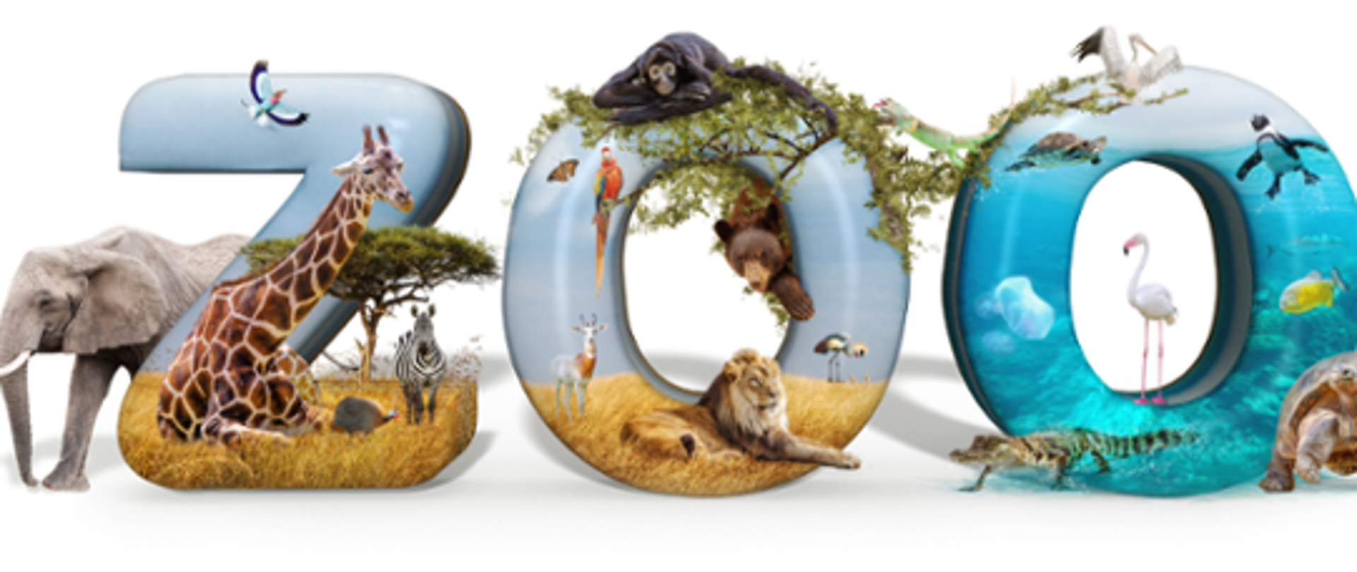 grafika - napis zoo, a pośród różne zwierzęta