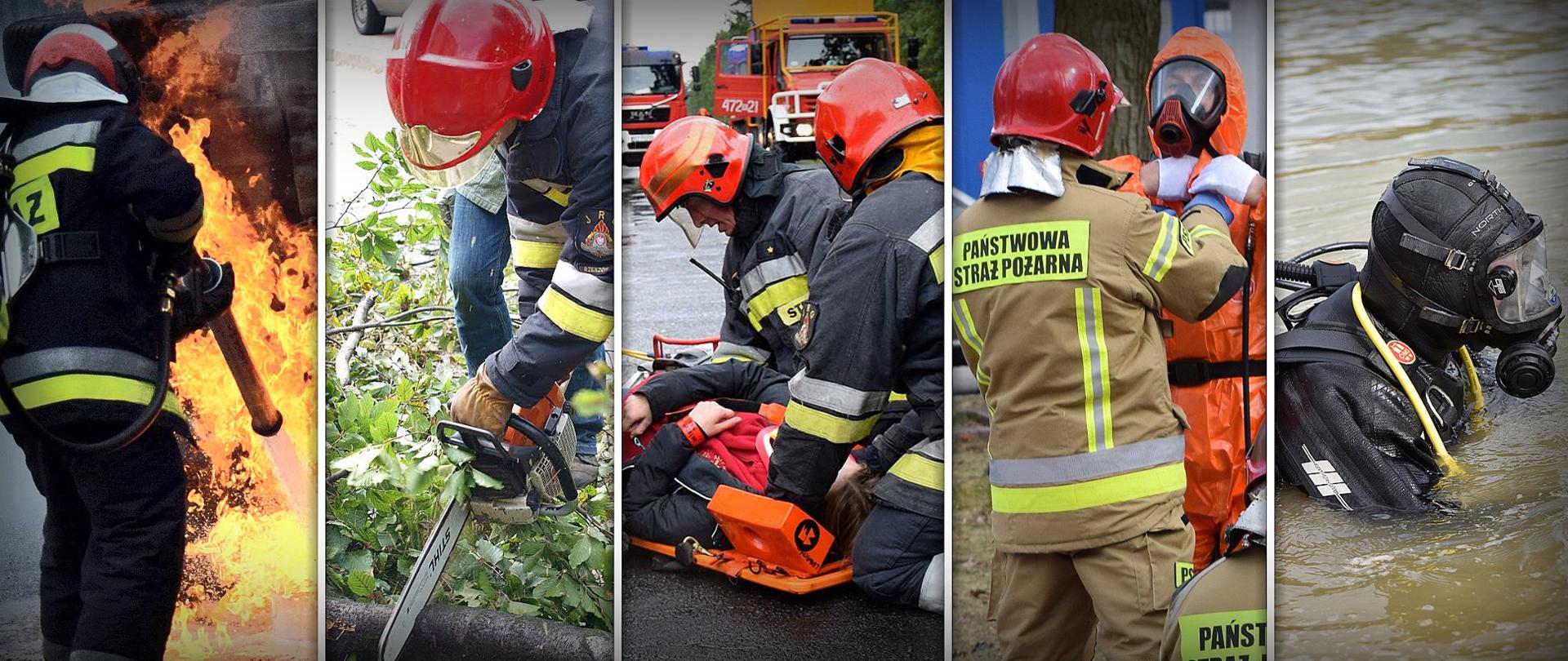 Kolaż pięciu zdjęć przedstawiający strażaków Państwowej Straży Pożarnej podczas różnych działań ratowniczo-gaśniczych. Od lewej strony strażak gasi pożar, strażak przy pomocy piły spalinowej przecina drzewo, dwóch strażaków klęczących na jezdni udziela pomocy osobie poszkodowanej, która leży na desce ortopedycznej, strażak Państwowej Straży Pożarnej pomaga zakładać strój ochrony przeciwchemicznej drugiemu funkcjonariuszowi, funkcjonariusz ubrany w strój płetwonurka zanurzony jest w wodzie. Zdjęcie zbiorowe, ilustracyjne.