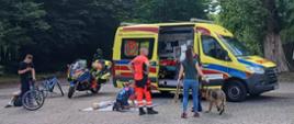 Ratownik medyczny przeprowadza pokaz reanimacji na manekinie obok otwartej, żółtej karetki i zaparkowanego motocykla ratunkowego. Pokazowi przyglądają się przechodnie, w tym młodzież z rowerami oraz kobieta z owczarkiem niemieckim na smyczy. Na głównym planie chłopiec ćwiczy wykonywanie RKO na fantomie.