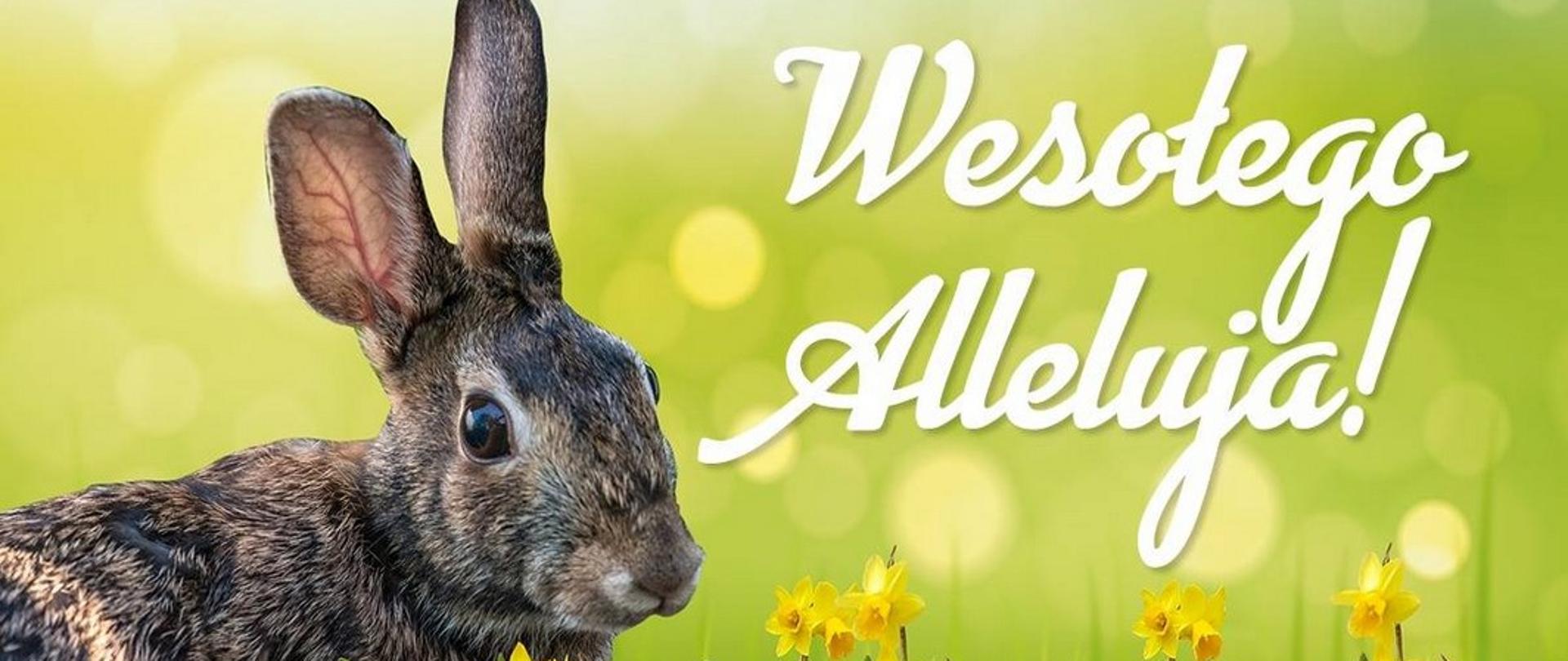 Napis Wesołego Alleluja z zajączkiem i kwiatami