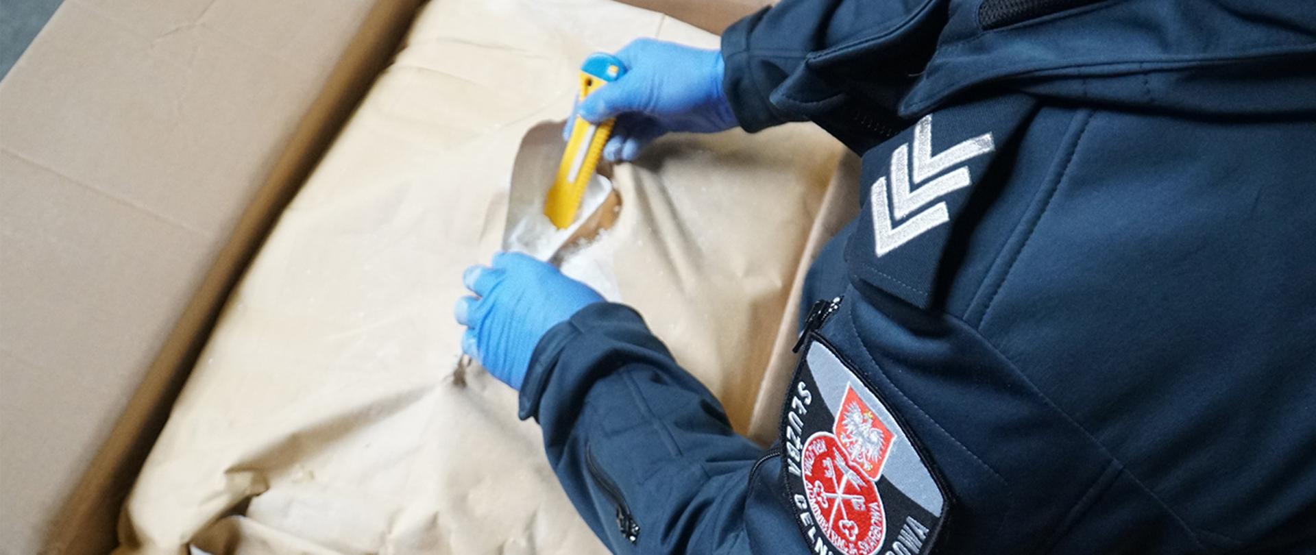 Funkcjonariusz Służby Celno-Skarbowej przy przesyłce, w rozerwanej paczce znajduje się biała substancja.