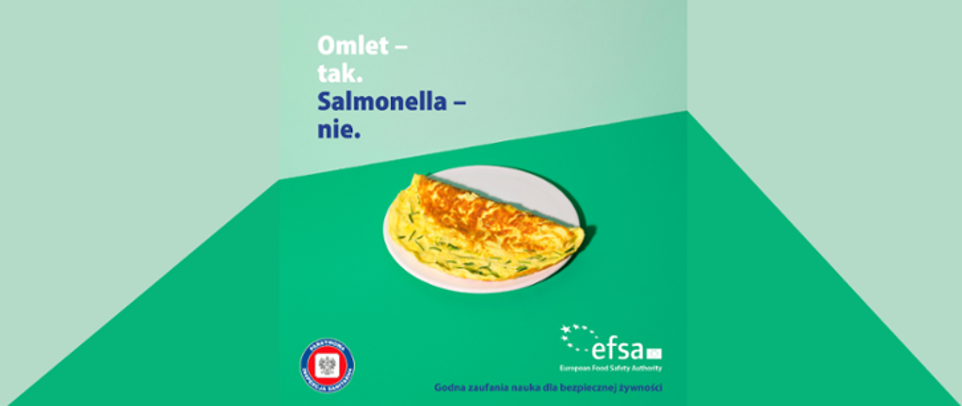 Na górze obrazu znajduje się napis: Omlet - tak. Salmonella - nie. Poniżej widoczny jest omlet leżący na talerzu. Na samym dole widoczne jest logo Państwowej Inspekcji Sanitarnej oraz Europejskiego Urzędu ds. Bezpieczeństwa Żywności. Tło jest w odcieniach zielonego.