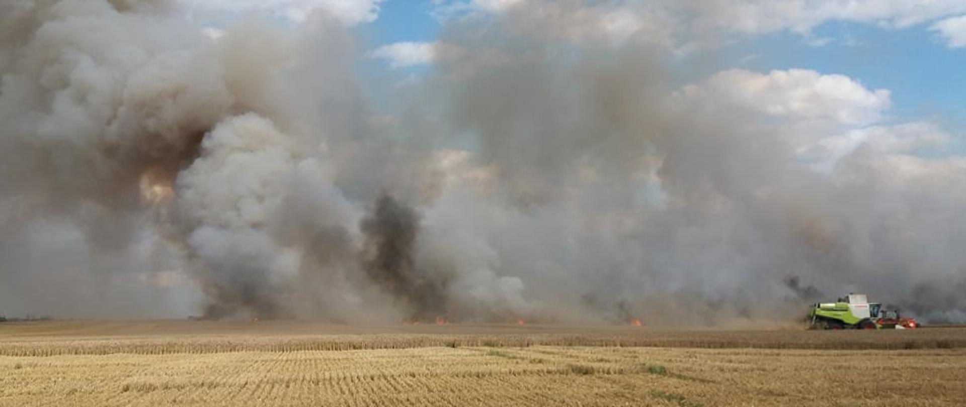 Zdjęcie przedstawia rozwijający się pożar zboża na pniu.