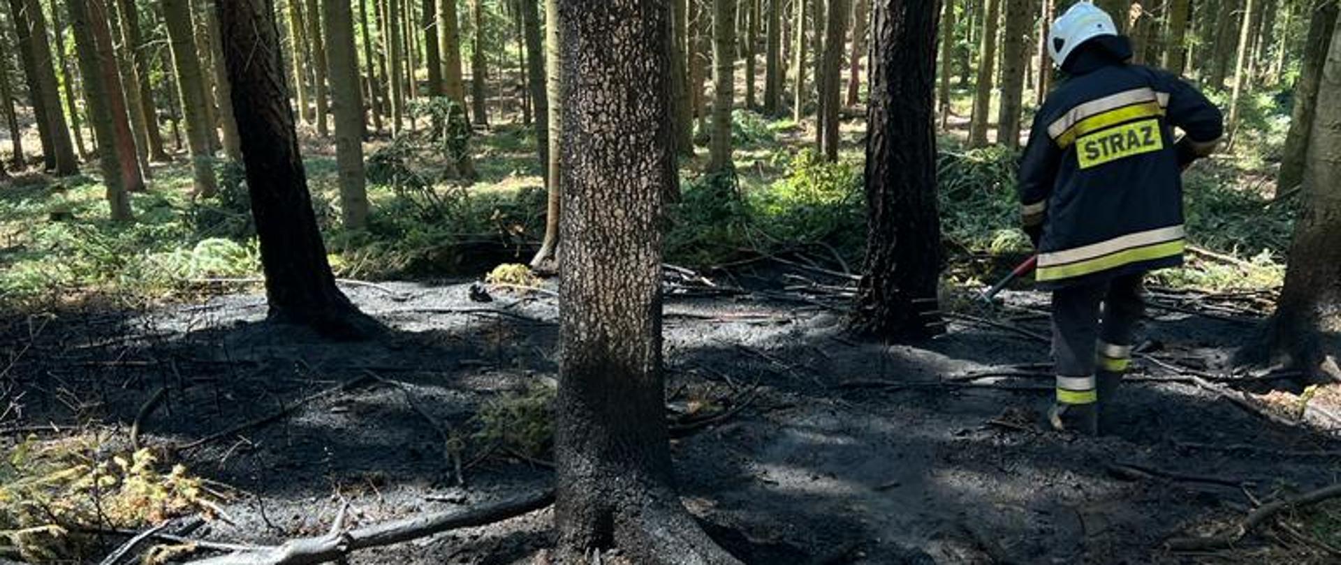Strażak gasi pożar ściółki leśnej.