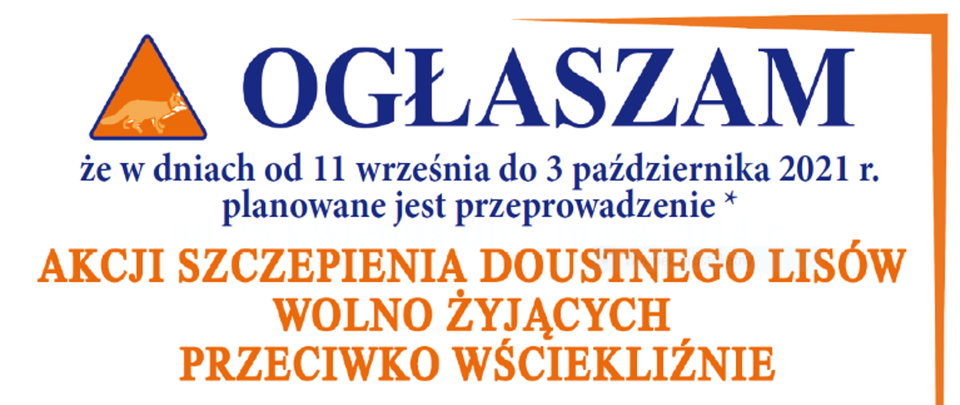 Szczepienie lisów od 11 września do 3 października