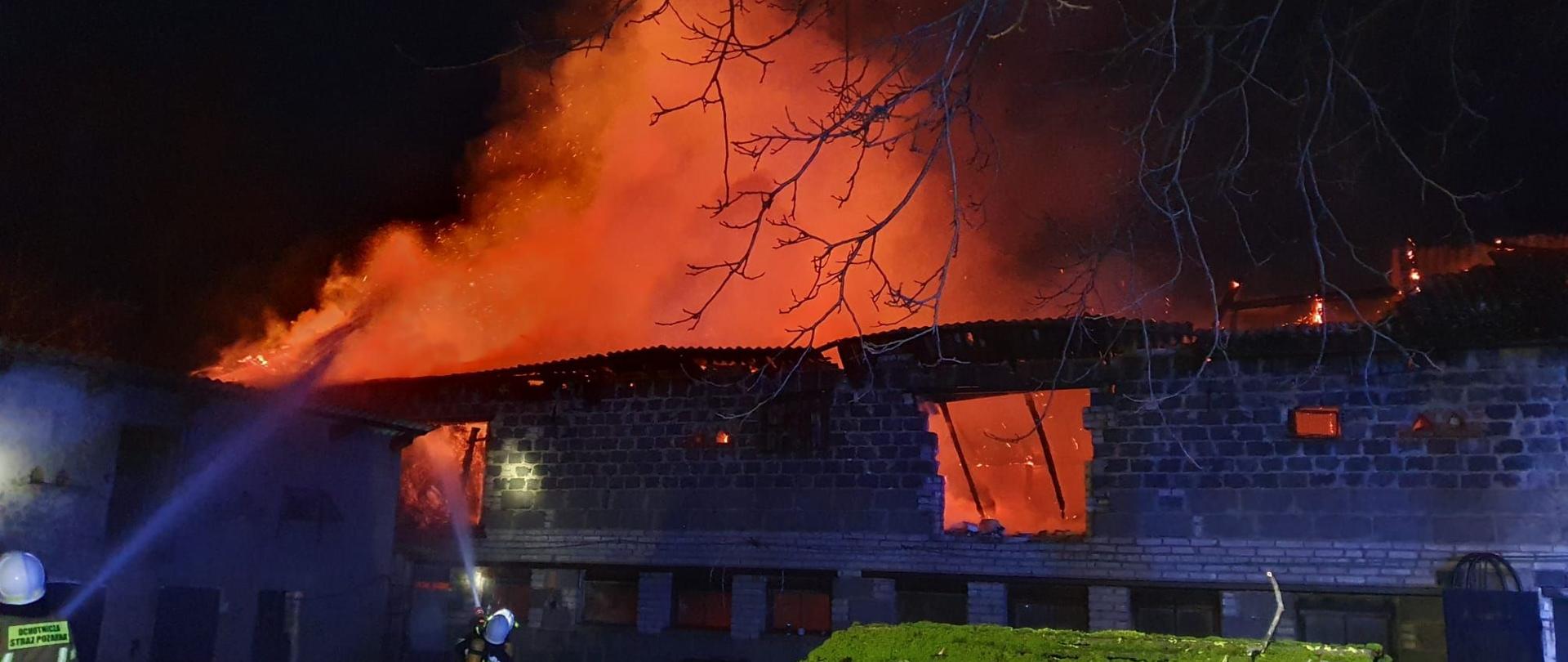 Pożar chlewni Zębowo.