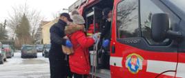 Zdjęcie przedstawia strażaków OSP pomagających w transporcie osób starszych do punktów szczepień.