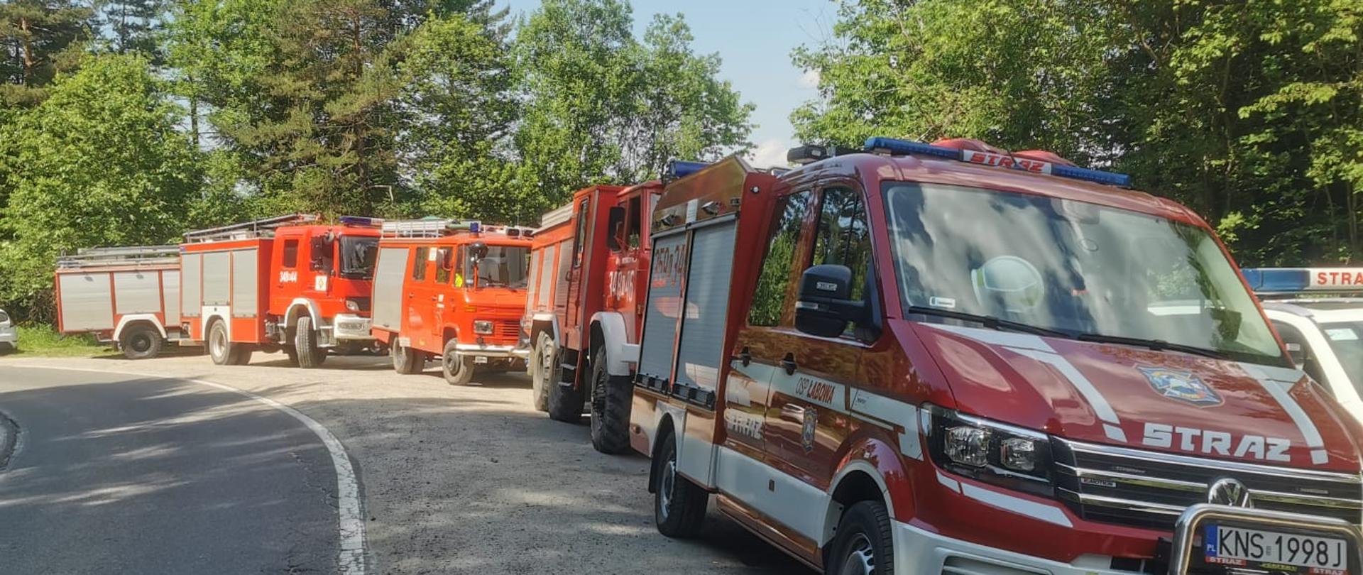 Samochody biorące udział w poszukiwaniach stoją na poboczu.