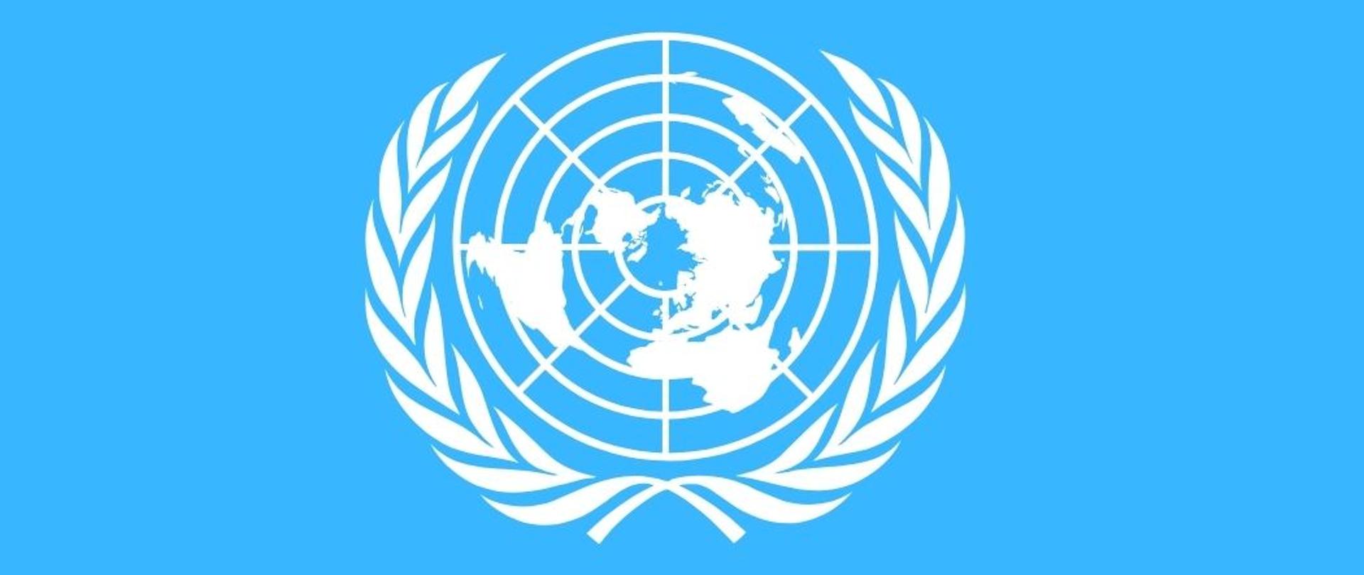 Всеобщая декларация прав человека элеонора рузвельт. Декларация оон. Когда генеральная ассамблея оон приняла всеобщую. Всеобщая декларация прав человека 1948. Когда генеральная ассамблея оон приняла всеобщую.