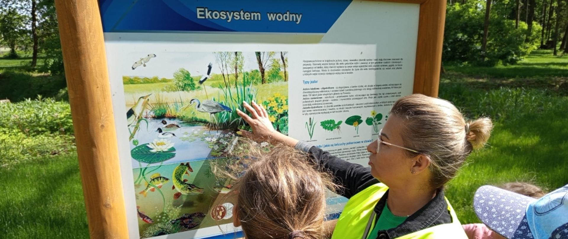 Na zdjęciu widać pracownicę Wojewódzkiego Inspektoratu Ochrony Roślin i Nasiennictwa w Warszawie, oddziału w Grójcu, w kamizelce odblaskowej. Pracownica tłumaczy dzieciom informacje przedstawione na tablicy edukacyjnej zatytułowanej „Ekosystem wodny”. Tablica znajduje się na świeżym powietrzu, w otoczeniu zieleni i lasu. Dzieci uważnie słuchają patrząc na tablicę.