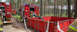 Ćwiczenia strażaków w Nadleśnictwie Grodziec [25.06.2024]