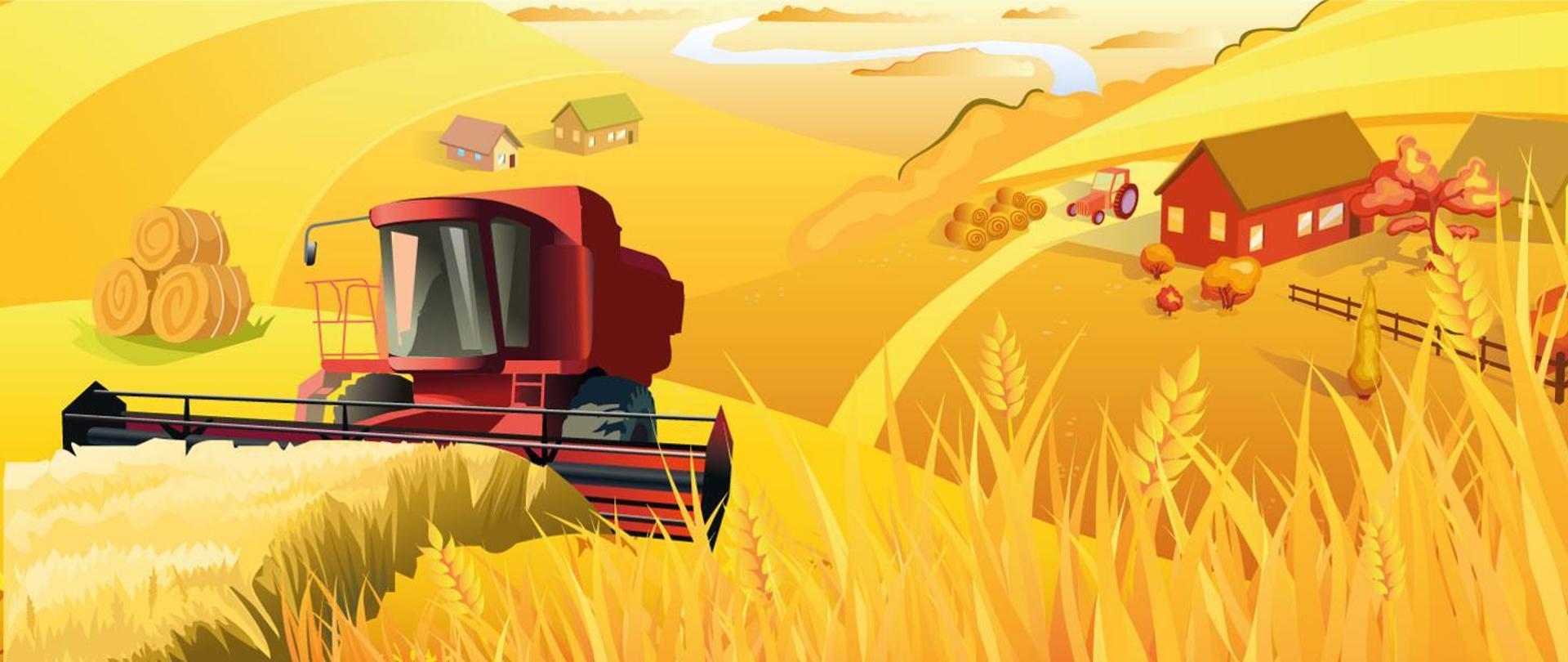 Na ilustracji, na pierwszym planie znajduje się czerwony kombajn koszący łan zboża. Po jego lewej stronie znajduję ułożone w stertę 3 baloty słomy, a za nimi dwa budynki. Za kombajnem po prawej stronie znajdują się 2 budynki, obok nich ciągnik, baloty słomy, kilka drzew i ogrodzenie. Cała ilustracja przedstawiona jest na żółtym tle.
