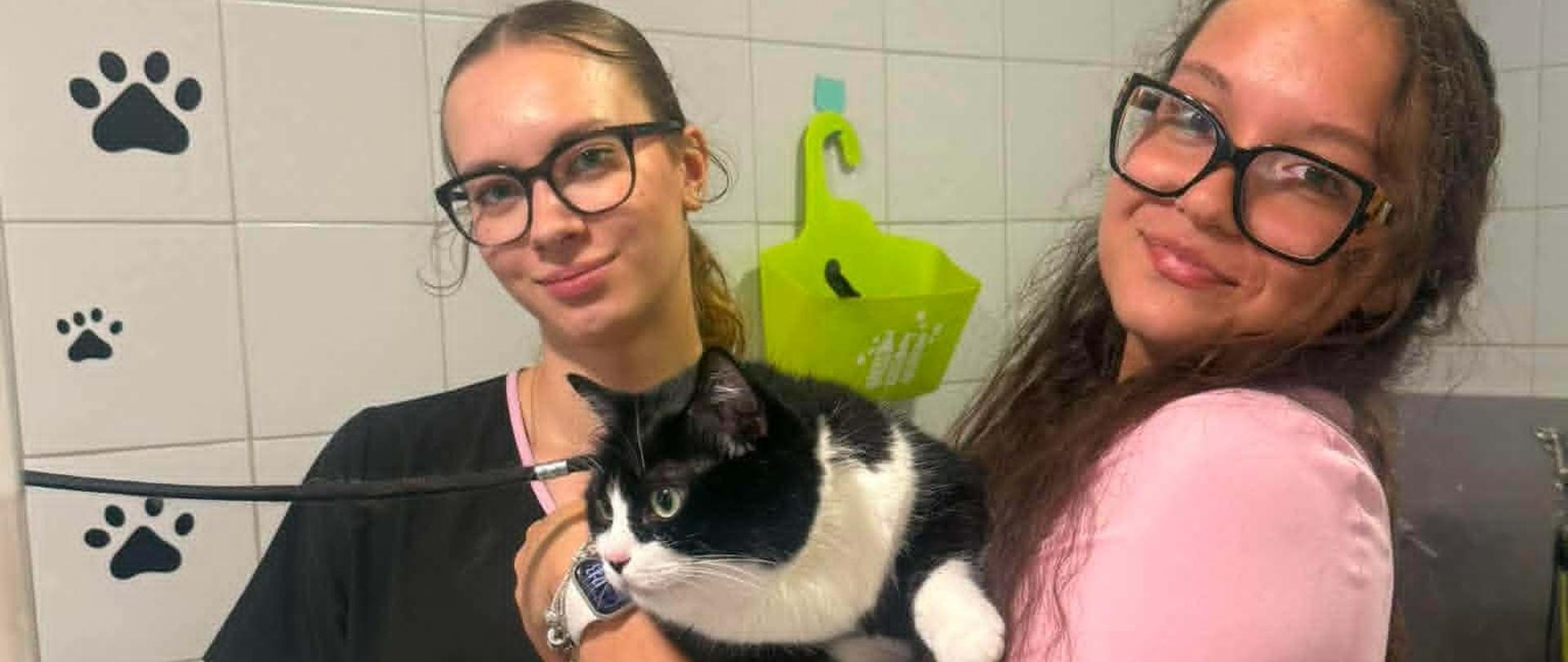Praktyki w Portugalii