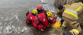 Sześciu strażaków wyciąga z wody na noszach typu deska osobę poszkodowaną. 3 strażaków w suchych skafandrach ratowniczych czerwonych dwóch w ubraniach specjalnych typu NOMEX