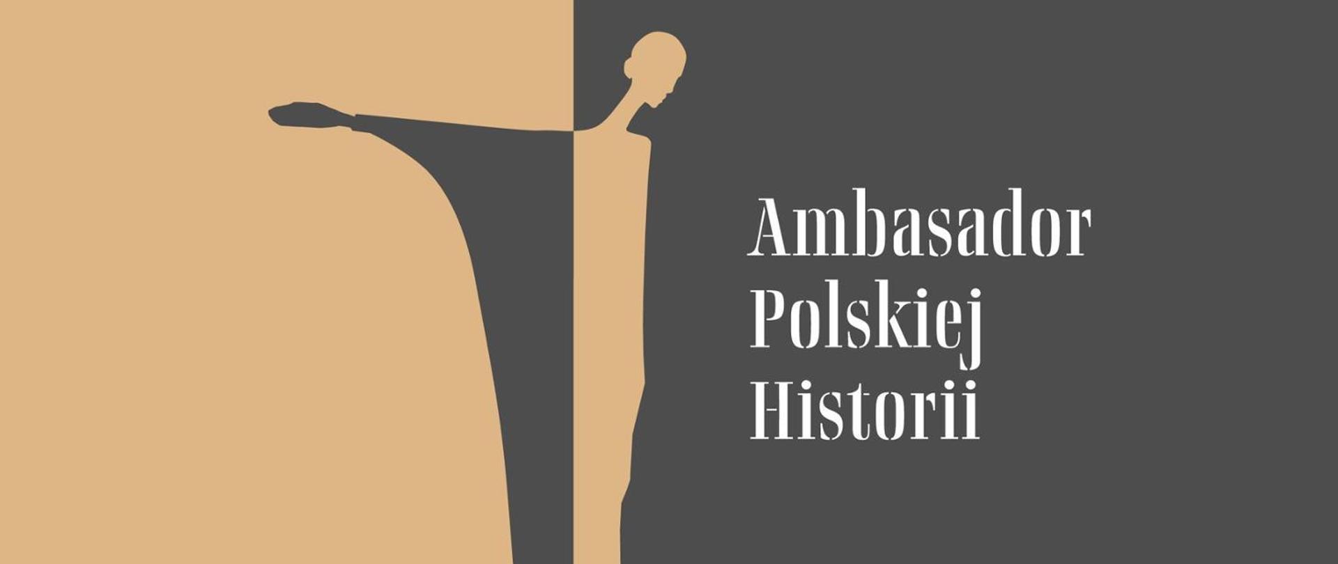 Ambasador Polskiej Historii - nagroda IPN dla osób i organizacji spoza Polski