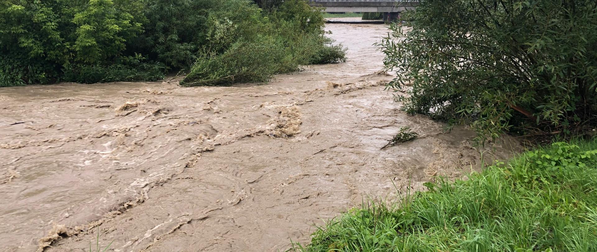 Potok Łubinka w Nowym Sączu