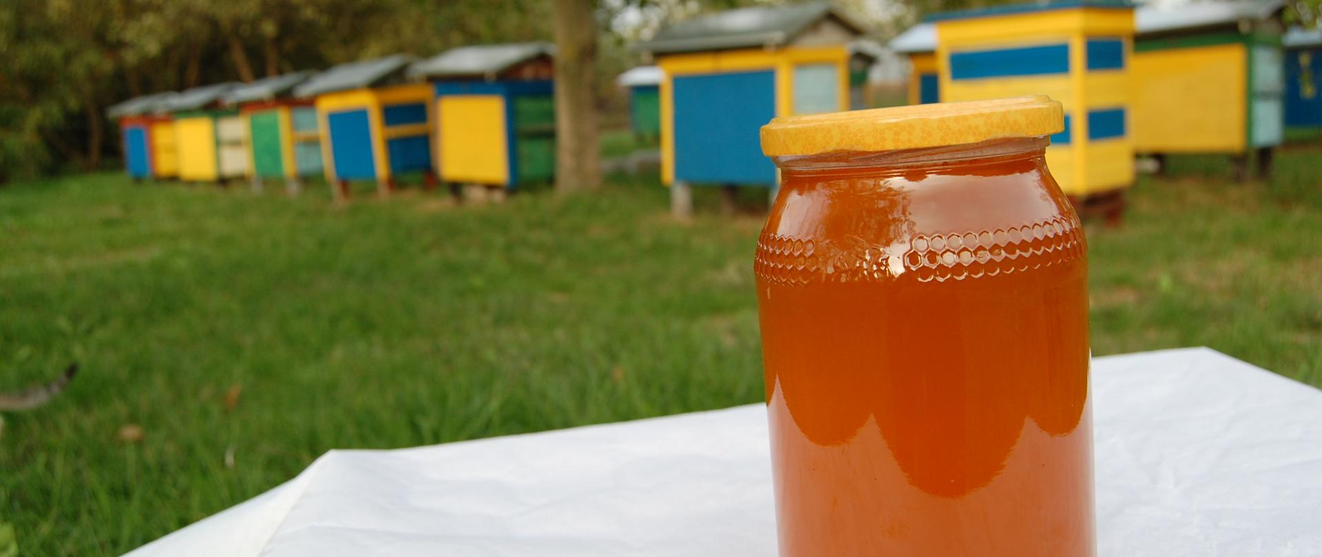 miód piotrkowski wielokwiatowy