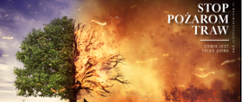 Stop pożarom traw